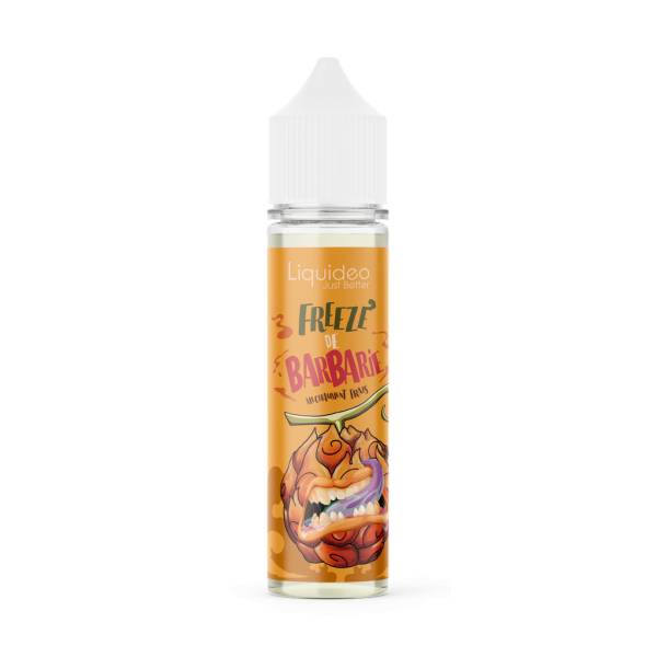 E-liquide Freeze de Barbarie 50 ml Liquideo, flacon grand format saveur figue de Barbarie avec fraîcheur intense.