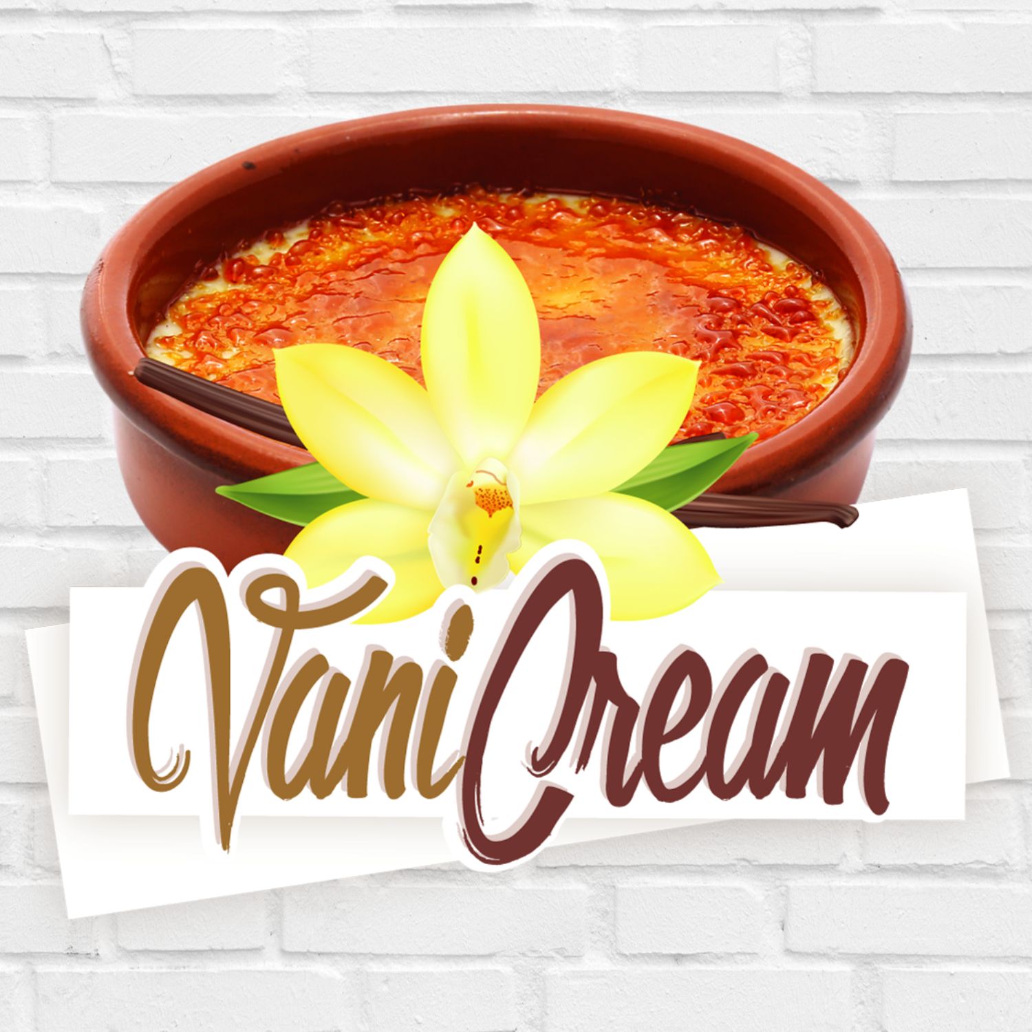 VANI CREAM DESTOCKAGE