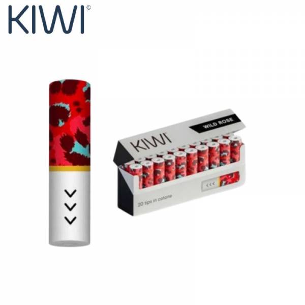 Filtres - Kiwi Vapor - par 20