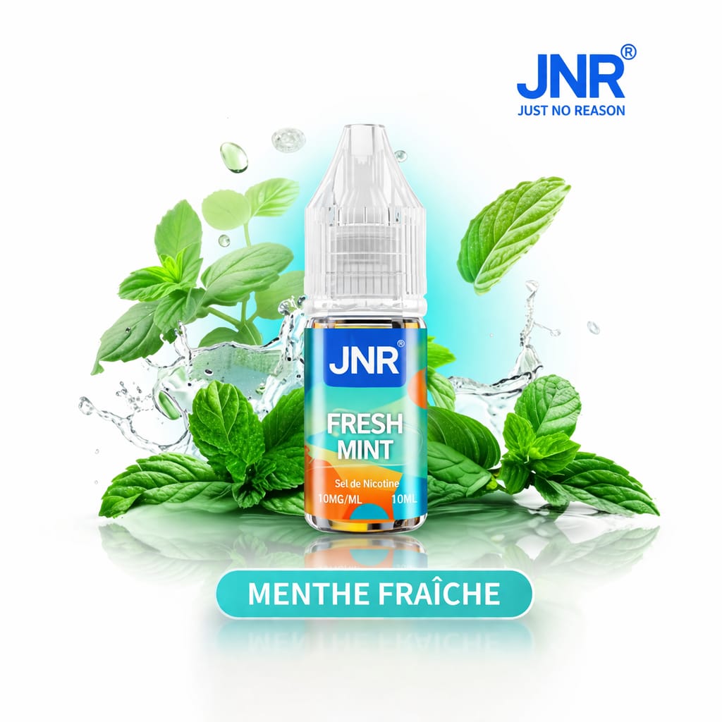 Fresh Mint (Sel de nicotine) 10 ML - JNR