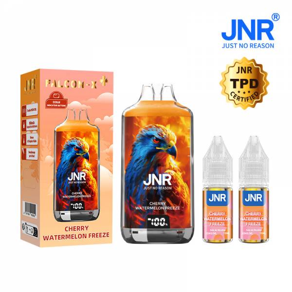 Puff JNR Falcon-X 28000 Puffs 20mg - Cigarette électronique jetable rechargeable