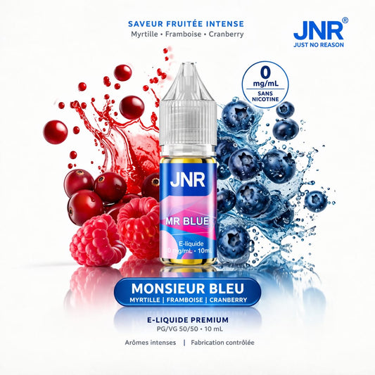 Mr Blue (Sel de nicotine) 10 ML - JNR